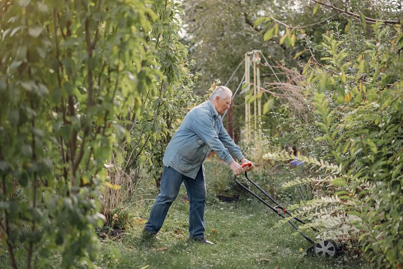 An elderly person is mowing the grass in the yard with a lawn mower.