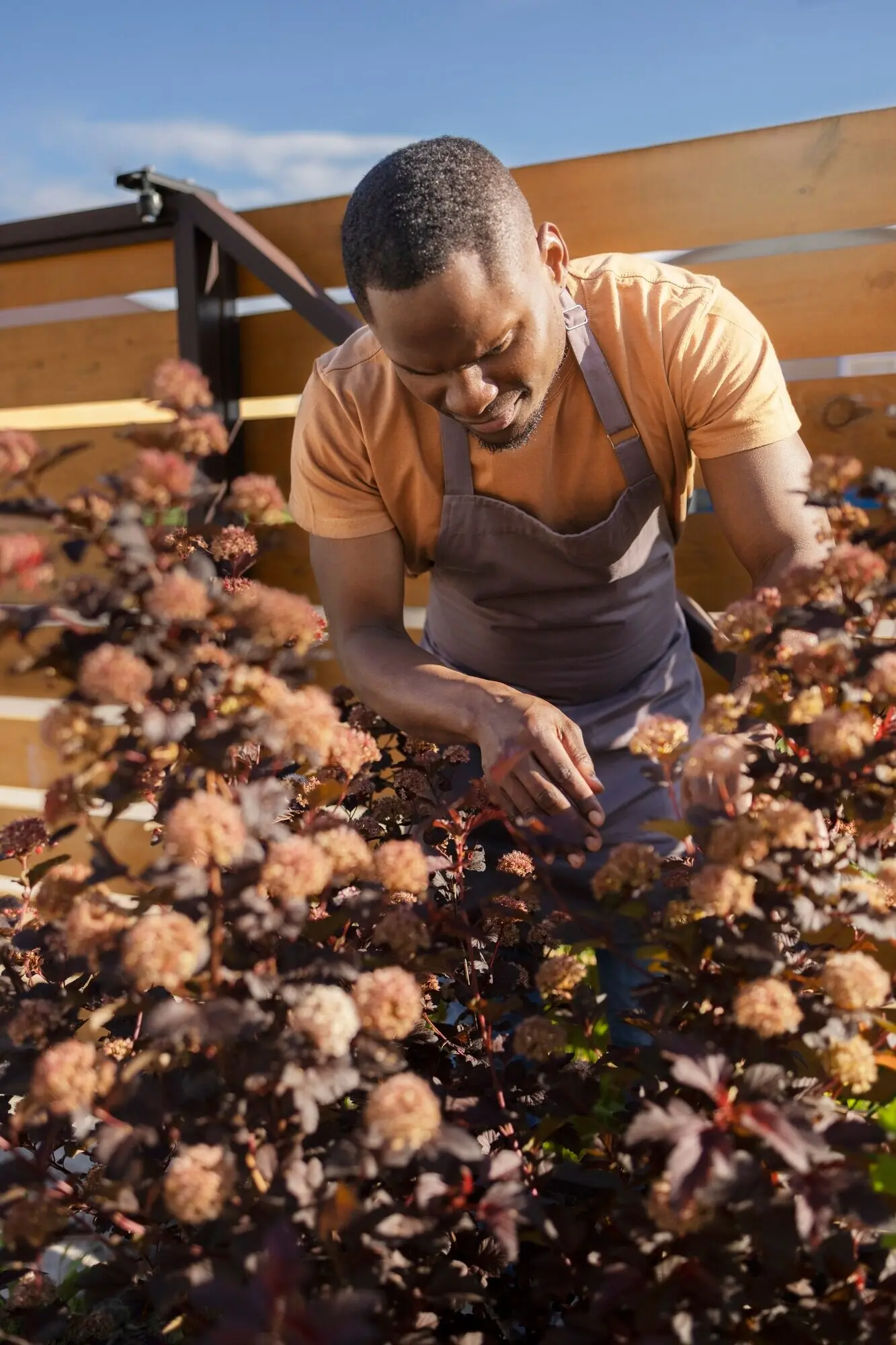 A man taking pleasure in indoor farming