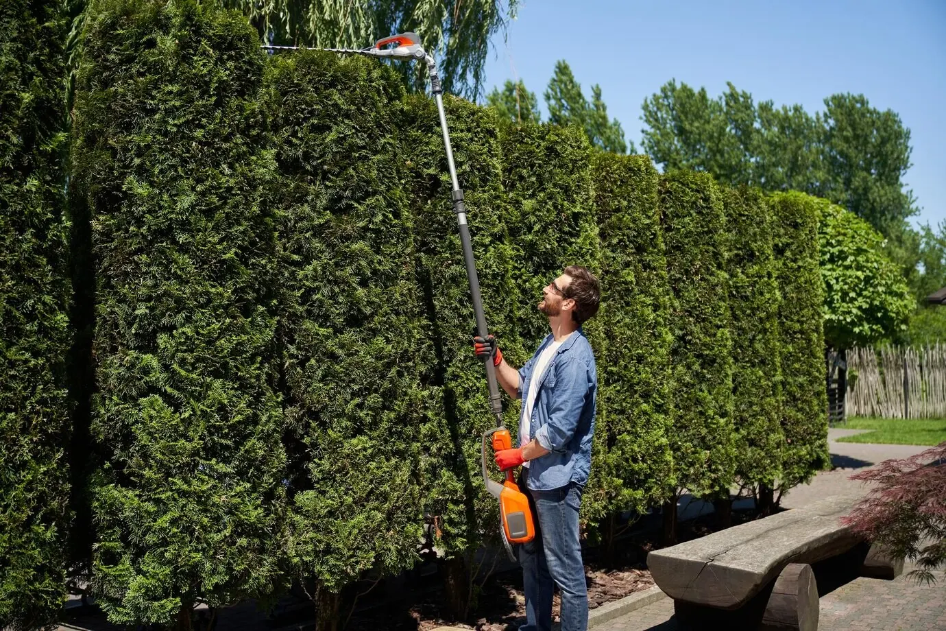Cheerful male landscaper trimming the tops of overgrown thujas with a motorized hedge trimmer at the side of a park.